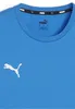 Puma Teamgoal T-Shirt Herren - Royal Produktbild-Vorschau 9