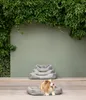 Dehner Lieblinge Hundebett und Katzenbett Sammy, ca. 61 x Produktbild-Vorschau 4