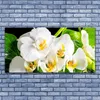Tulup Leinwand-Bilder 140x70 Wandbild Canvas Kunstdruck Produktbild-Vorschau 2