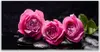 Glasbilder 120x60 Wandbild Druck auf Glas Rosen Steine Produktbild-Vorschau 1