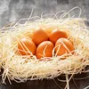 naturling Garten-Holzwolle 2,5kg für Erdbeeren und Gemüse - Produktbild-Vorschau 6
