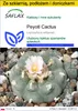 SAFLAX - Zestaw do uprawy - Peyotl Cactus - 20 Nasiona - Z Podgląd zdjęcia produktu 1