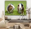 MuchoWow® - Leinwandbilder - Zwei Meerschweinchen, Produktbild-Vorschau 7