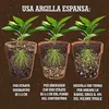 LERAVA® Argile expansée pour plantes  – 3 L – Granulés Voir les images du produit 4