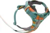 Ruffwear Front Range Harness Hundegeschirr, Farbe:Spring Produktbild-Vorschau 10