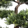 bümö plants Kunstpflanze Bonsai Bäumchen Produktbild-Vorschau 4