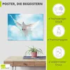 ARTland Poster Taube mit ausgebreiteten Flügeln Größe: Produktbild-Vorschau 2