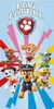 Paw Patrol Badetuch Blitz 70 x 140 cm Produktbild-Vorschau 1