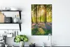 MuchoWow® - Leinwandbilder - Frühling - Wald - Sonne, Produktbild-Vorschau 3