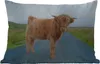 MuchoWow® Outdoor Kissen - Scottish Hochlandrind - Straße - Produktbild-Vorschau 1