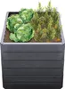 A raised garden bed filled with cabbage and other plants. Anteprima dell’immagine prodotto