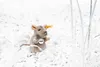 Steiff Piff mouse, Maus Produktbild-Vorschau 2