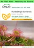 SAFLAX Garden to go - Rundblättriger Sonnentau - Drosera Produktbild-Vorschau 1