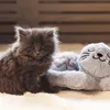 Beeztees: Giocattolo per gatti, peluche a forma di cuore Anteprima dell’immagine prodotto 4