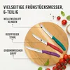 Tomatenmes set van roestvrij staal, Victorinox, model Productafbeelding-voorbeeld 4