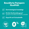 Pampers Windeln Paw Patrol Pants Größe 6 14-19kg Produktbild-Vorschau 8