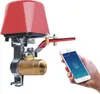 Ventil NOUS L3 Vodovodní potrubí WLAN pro zavlažování Náhled obrázku produktu 4