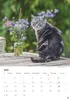 Katzen Kalender 2027 Produktbild-Vorschau 12