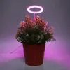 Vollspektrum LED Pflanzenlampe Dimmbar Ring Pflanzenlicht Produktbild-Vorschau 10
