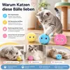 Interaktive Katzenbälle mit Tiergeräuschen – 3er Set Produktbild-Vorschau 6