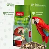 PANTO Papageienfutter Spezial mit Pluramin (ohne Nüsse) Produktbild-Vorschau 2