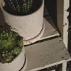 Close-up of two potted plants on a wooden shelf. Produktbild-Vorschau