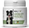 REAVET Grünlippmuschel Kapseln 100 Stück Hund hochdosiert - Produktbild-Vorschau 1
