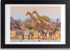 Bild 30x20 MDF-Rahmen, Wandkunst Giraffen und Zebras Produktbild-Vorschau 1