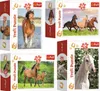 TREFL Display Puzzle World of Horses 54 Teile (40 Stück) Produktbild-Vorschau 1