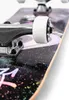Enuff Skateboards Skully Hologram 7.75´´ Skateboarddeck Produktbild-Vorschau 10
