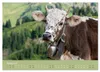 Allgäuer Rindvieh 2027 (Wandkalender 2027 DIN A2 quer), Produktbild-Vorschau 4