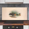 Coloray Küchenrückwand 120x60 Spritzschutz aus Glas - Vögel Produktbild-Vorschau 2