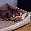 A dog is resting on a dog bed, using a small pillow as a headrest. Produktbild-Vorschau