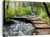 Bild auf Leinwand - Leinwandbild - Park natur grün bäume - Produktbild-Vorschau 1