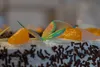 CANA Mandarin-Orangen geschält kernlos 1 Dose Füllm 800g Produktbild-Vorschau 4