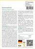 SAFLAX - Kuheuterpflanze - Solanum mammosum - 10 Samen Produktbild-Vorschau 3