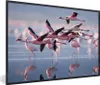 MuchoWow® Gerahmtes Poster Flamingo - Vogel - Wasser - Rosa Produktbild-Vorschau 1