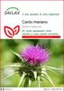 SAFLAX  - Cardo mariano - 75 semi - Silybum Anteprima dell’immagine prodotto 1