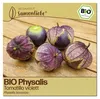 Samenliebe  Tomatillo Samen | Purple Tomatillo - violett - Produktbild-Vorschau 1