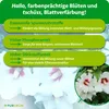 Purgrün Gartenhibiskus-Dünger 1 Liter, Produktbild-Vorschau 3