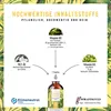 A diagram illustrating the ingredients and dosage of a vitamin supplement. Produktbild-Vorschau