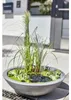 Solar Wassergarten LOTUSGARDEN inkl. Wasserspielpumpe und Produktbild-Vorschau 11