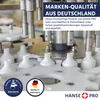 HANSE PRO Salzsäure 4% 1L (1er Pack) Produktbild-Vorschau 2