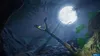 A dark, atmospheric scene with a large moon illuminating a forest floor with ferns and a fallen branch. Produktbild-Vorschau