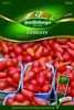 Tomate Red Pear | Gemüsesamen von Quedlinburger Produktbild-Vorschau 1