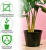 4 Stück Pflanzenstütze , Monstera Pflanzenstielstütze Produktbild-Vorschau 7
