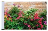 Balkonsichtschutz, Blumen, 5 m x 85 cm Produktbild-Vorschau 9