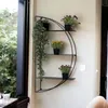 A black metal wall shelf with plants is mounted on a light-colored wall next to a window. Produktbild-Vorschau