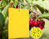 50 Stück Gelbtafeln Klebrige Insektenfallen,20*10cm Premium Produktbild-Vorschau 1