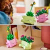 Plantes balançantes Voir les images du produit 15